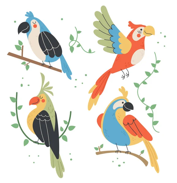 Différents Types Oiseaux Tropiques Jungle Isolé Graphisme Plat Dessin Animé — Image vectorielle