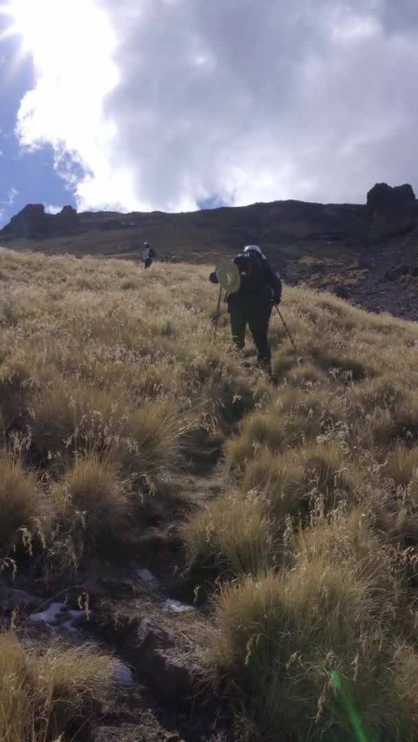 Caminata en grupo en las montañas — Vídeos de Stock