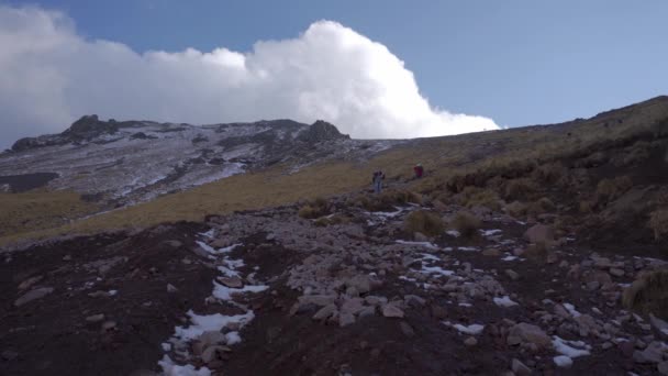El volcán Malinche, vista panorámica desde lo alto del bosque — Vídeo de stock