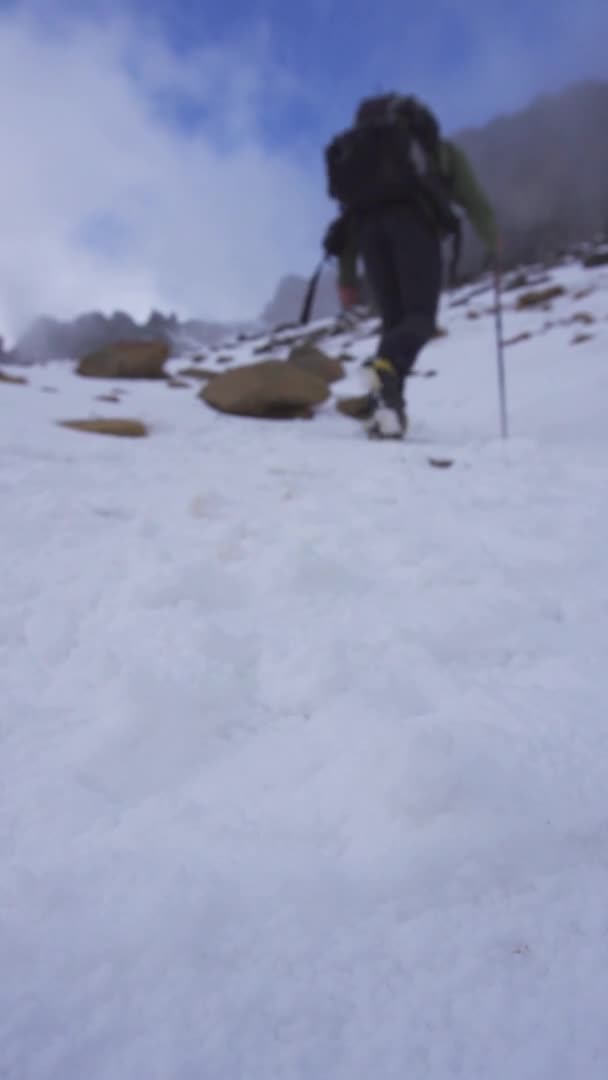 Skupienie selektywnej wędrówki pieszej w górach — Wideo stockowe