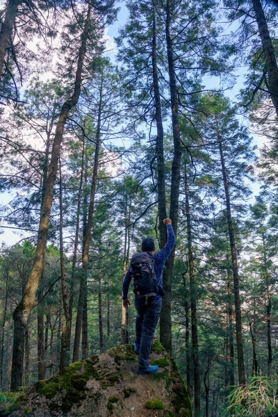 Un escursionista cammina lungo un sentiero attraverso una foresta in una giornata di sole — Foto Stock