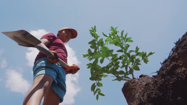 Kleiner Junge gräbt mit Spaten großes Loch in ihren Garten — Stockvideo