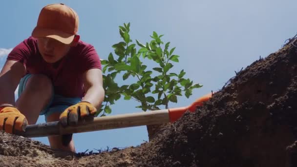 Kind graaft een gat om een boom te planten — Stockvideo