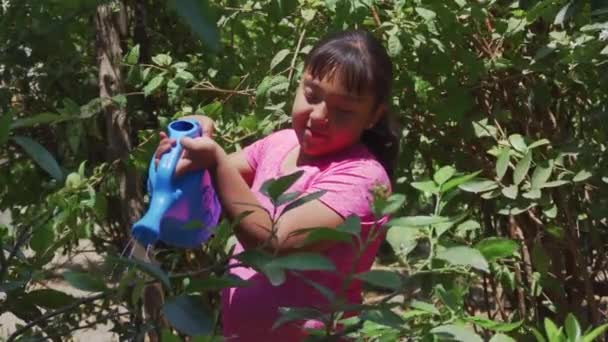 Una pequeña niña hispana regando las flores en el jardín, jardinero — Vídeos de Stock