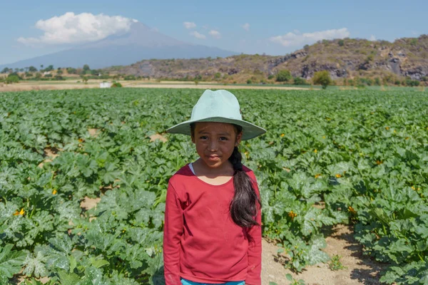 Little girl portrait in green zucchini field — Foto de Stock