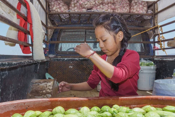 A little girl helping to pack green zucchini — Foto de Stock