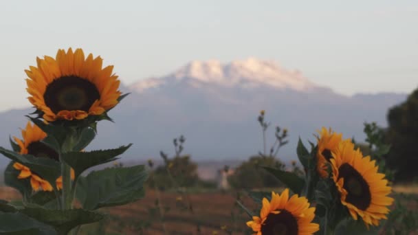 Ovanifrån av Iztaccihuatl vulkan över bergen och nära Puebla och Mexico City. — Stockvideo