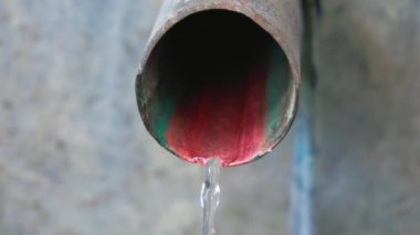 Bakır bir tüple damıtılmış mezcal çıkartma.