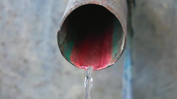 Extracção mezcal destilada através de um tubo de cobre — Vídeo de Stock