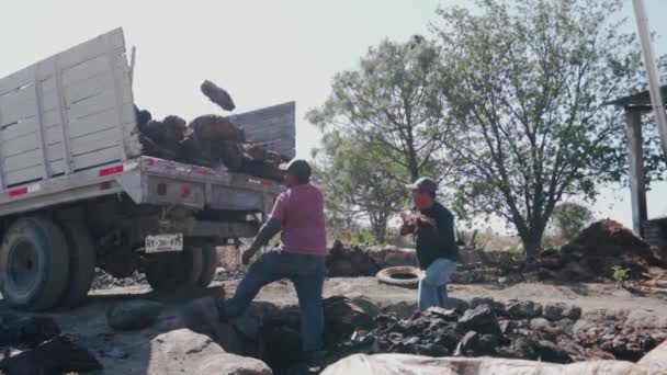 Hombre cargando un camión con piñas de agave después de ser cocinado — Vídeo de stock