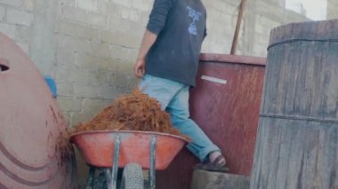 Mezcal 'ın sanatsal bir şekilde detaylandırılması