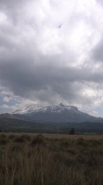 Iztaccihuatl volkanı karla kaplı ve çevresindeki vadi sarı otlarla çevrili.