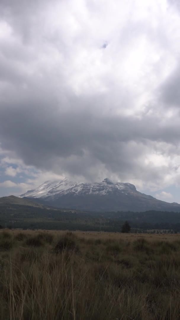 Вулкан Истаччиуатль Покрытый Снегом Окружающая Долина Желтой Травой — стоковое видео