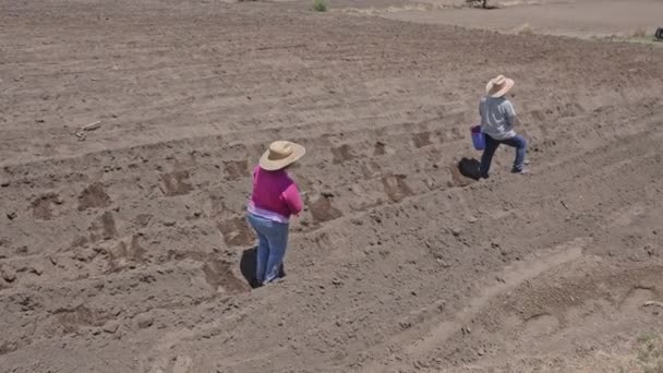 Algunos Campesinos México Plantando Maíz Imágenes Alta Calidad — Vídeos de Stock