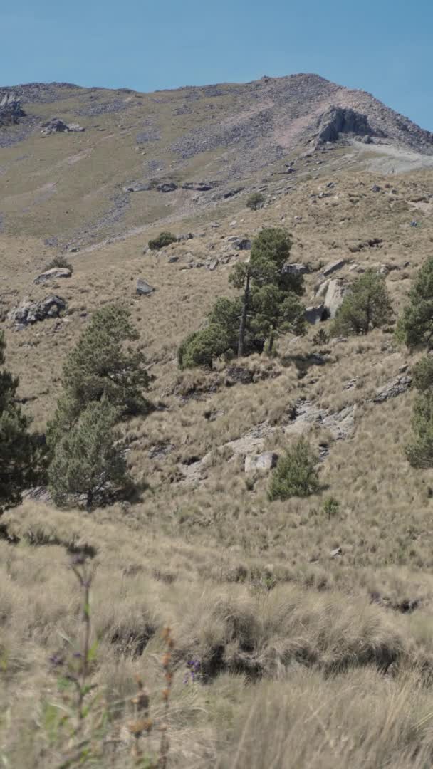 Panorama Dari Lanskap Gunung Puebla Mexico — Stok Video