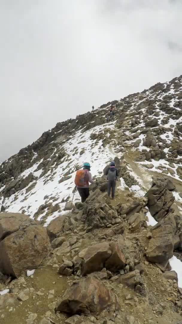 Duas Mulheres Caminhando Até Uma Montanha México — Vídeo de Stock