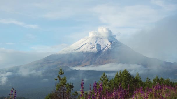 View Popocatepetl Volcano Puebla Mexico — Wideo stockowe