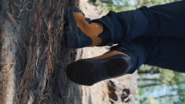 Woman Hiker Legs Mountain — Stok Video