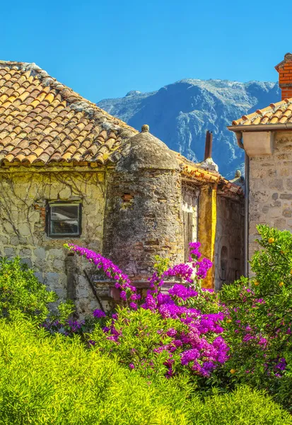 Vista de casas antiguas flores montenegro. Enfoque selectivo — Foto de Stock