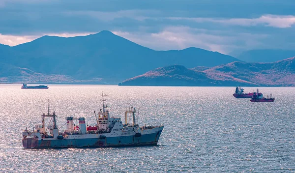 Cercadores de pesca e navios de carga na baía de Avacha, na península de Kamchatka — Fotografia de Stock