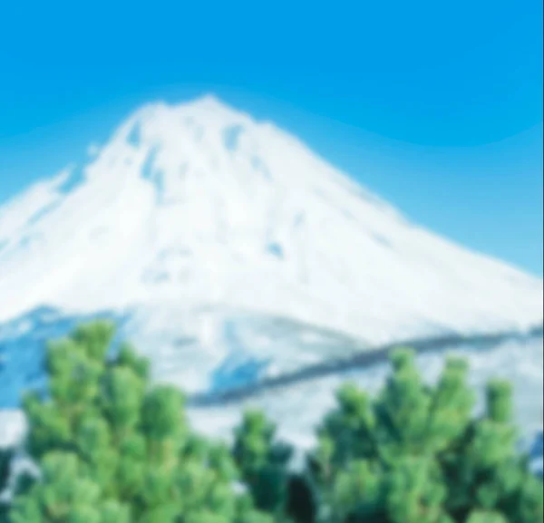 Blurred view of the green cedar branches against volcano and blue sky — Stock Photo, Image