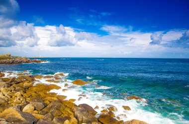 Wild Coast
