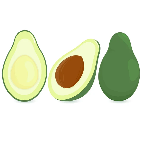 Whole Cut Half Avocado Fruit Vector Illustration — Stock Vector