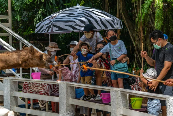 Bangkok Tajlandia Października 2021 Dzieci Rodzina Szczęśliwie Karmią Wielbłądy Safari — Zdjęcie stockowe