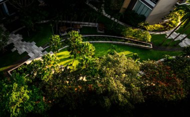 Yüksek binalar arasında güzel bir tropikal bahçe manzarası, akşamları doğal ışık, yukarıdan manzara. Şirket binasının konsepti..