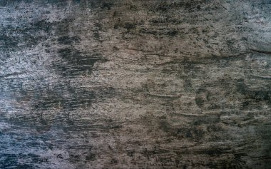 Eski tahtanın yüzeyi, eski dokuyu kapat, yıpranmış durumda, kopya ve tasarım için boş alan.