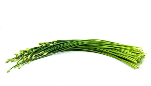 Isolated Garlic Chives Chinese Chives White Background Bunch Organic Garlic — Stock Photo, Image