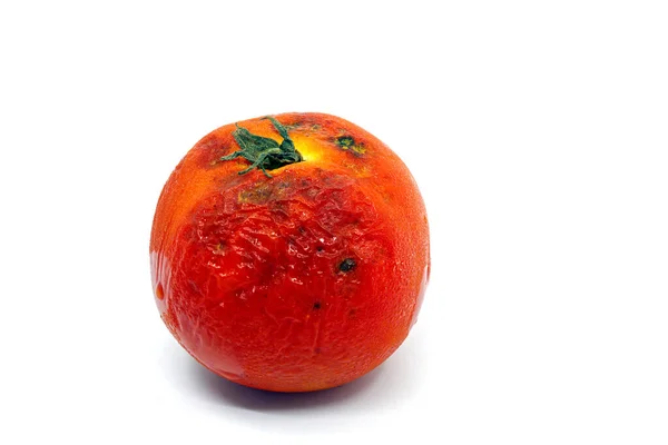 Verdorbene Tomate Mit Schimmel Auf Weißem Hintergrund Großaufnahme Vorderseite Eine — Stockfoto