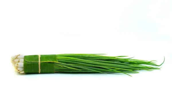 Isolated Pack Fresh Spring Onions Scallions White Background Packing Sale — Photo