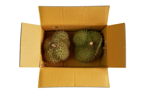 Cartón Marrón Aislado Con Dos Durian Fresco Interior Caja Cartón —  Fotos de Stock