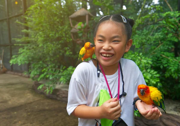 Азиатская Девочка Птицей Любви Руке Плече Азиатская Девочка Играет Птицей — стоковое фото