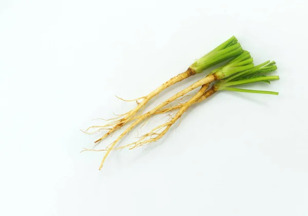 Top View Fresh Organic Coriander Roots White Background Close Small — Stock Photo, Image