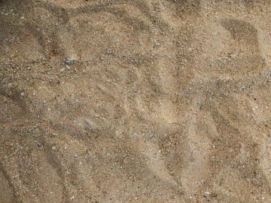 Top view sand beach with natural light, fill the frame with sand beach, surface with volume, flat lay template with blank space for copy and design.