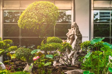 Bir iş binasının önündeki güzel, büyük bir taş ve yeşil bahçe, altın ışıklı bir ortam, büyük taşlı bahçe süsü ve nilüfer göleti. Binanın ayna penceresinin arka planı.