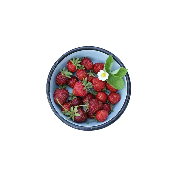 Red Strawberries Blue Plate Top View White Background Fresh Summer — Stock Photo, Image