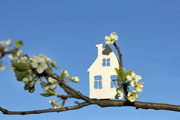 在开着花的果树和蓝天的枝头上 有一座小小的白色房子 有大花园的大厦 — 图库照片#