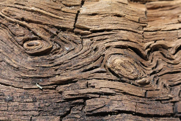 Achtergrond Van Krullen Een Oud Hout Met Scheuren Close Verschrompelde — Stockfoto