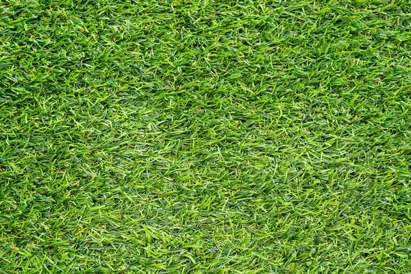 Textura Grama Verde Para Fundo Padrão Gramado Verde Fundo Textura — Fotografia de Stock