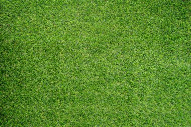 Arka plan için yeşil çimen dokusu. Yeşil çimen deseni ve doku arkaplanı. Yakın plan..