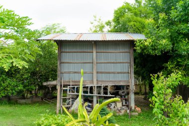 Bahçe bölgesinde pirinç depolama ve kurutma için pirinç ambarı. Tayland 'ın kuzeydoğusunda..
