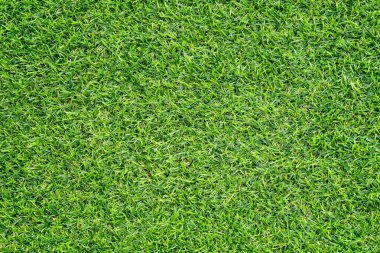 Arka plan için yeşil çimen dokusu. Yeşil çimen deseni ve doku arkaplanı. Yakın plan..