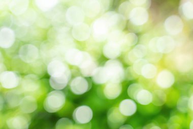 Güneş ışığına sahip bokeh yaprağı, soyut arkaplan için kullan.