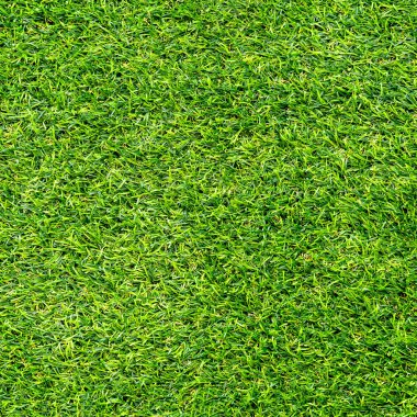 Arka plan için yeşil çimen dokusu. Yeşil çimen deseni ve doku arkaplanı. Yakın plan..