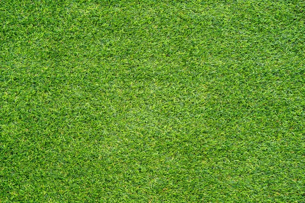 Textura Hierba Verde Para Fondo Patrón Césped Verde Fondo Textura — Foto de Stock