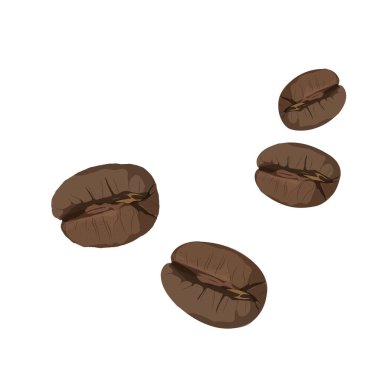 Beyaz arka planda izole edilmiş kızarmış kahve çekirdekleri. Vektör