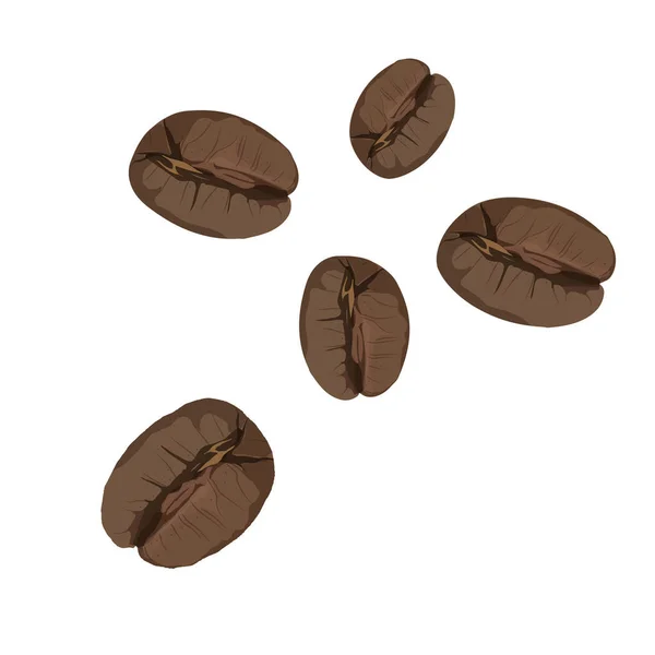 Roasted Coffee Beans Isolated White Background Vector — Zdjęcie stockowe